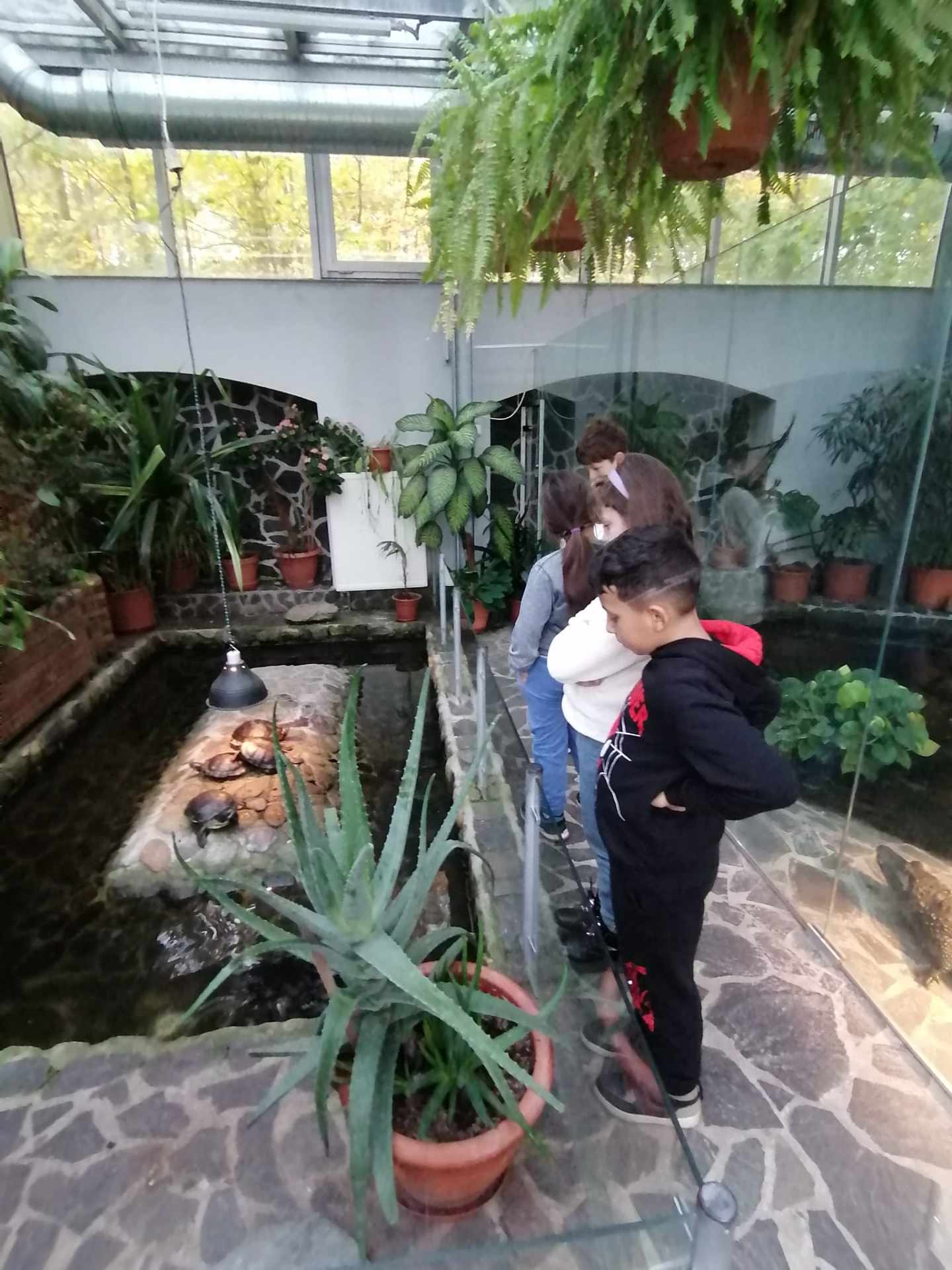III. A