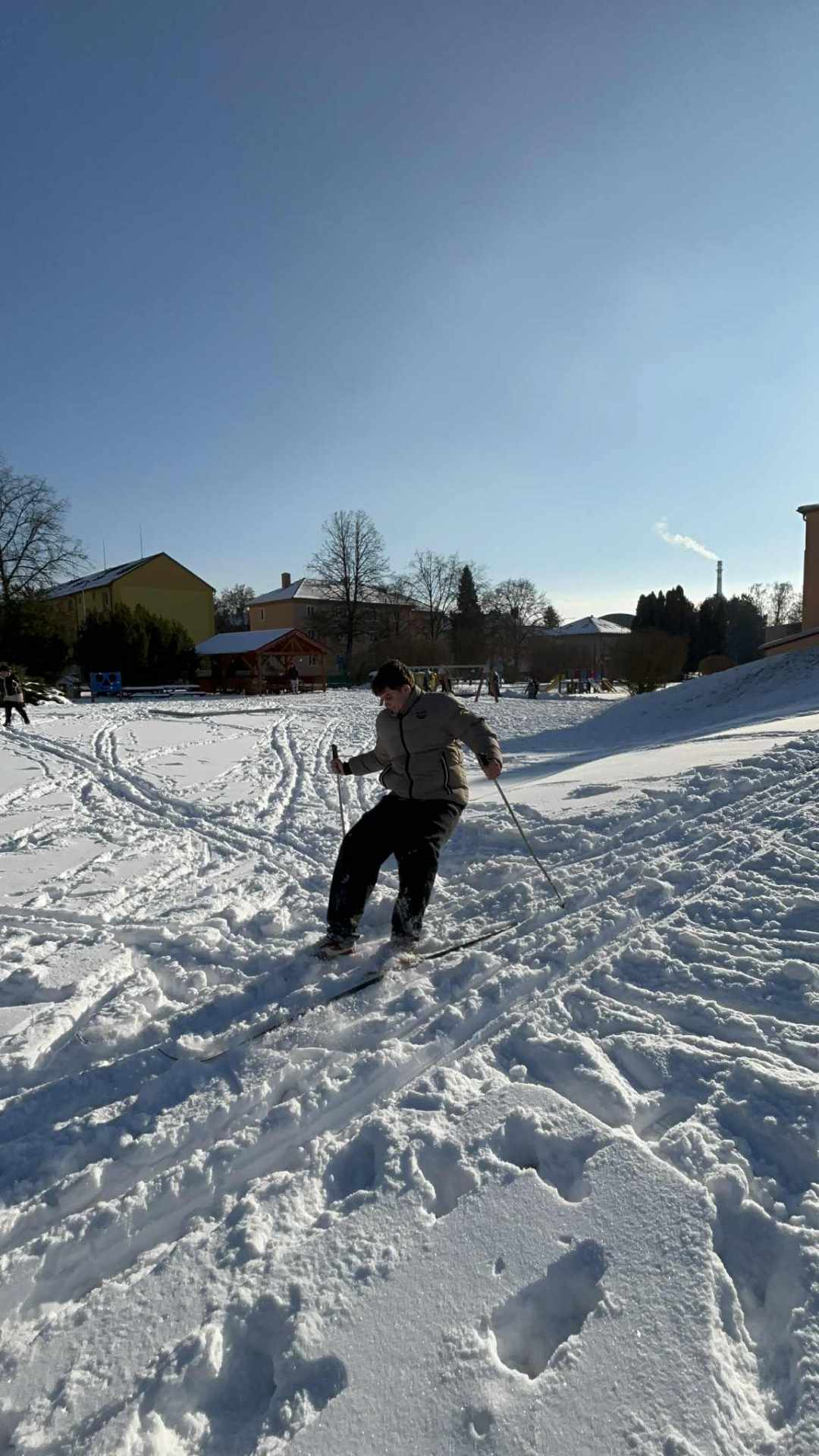 lyžování