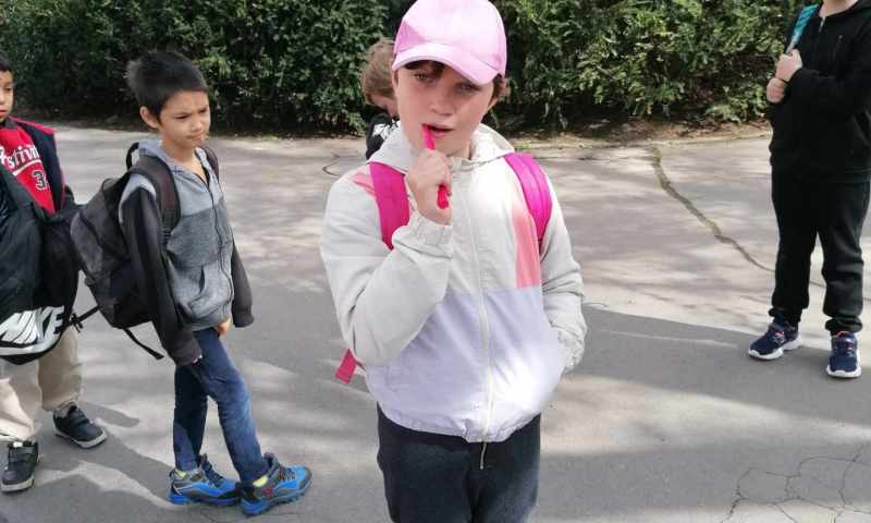 III. A