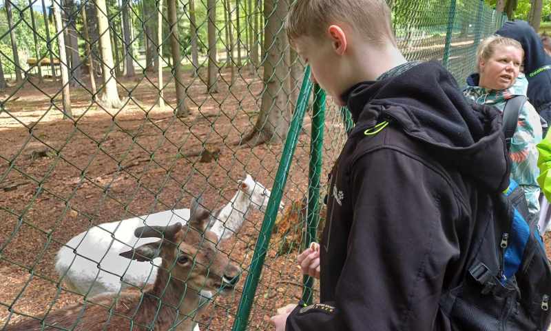V.B.