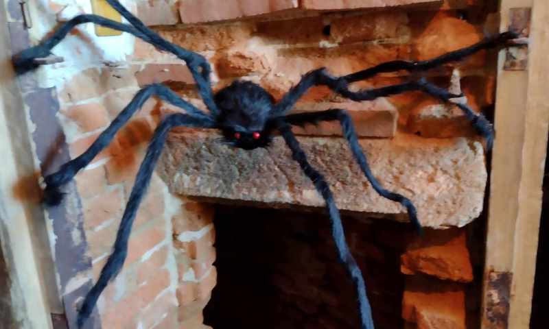 V.B.