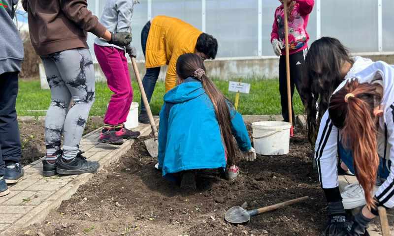 Pěstitelské práce VI.A
