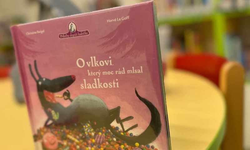 návštěva knihovny