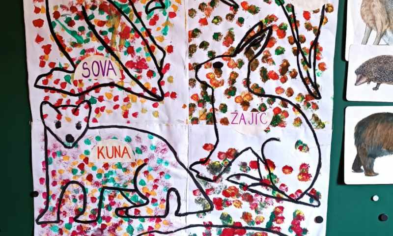 Máme rádi zvířata