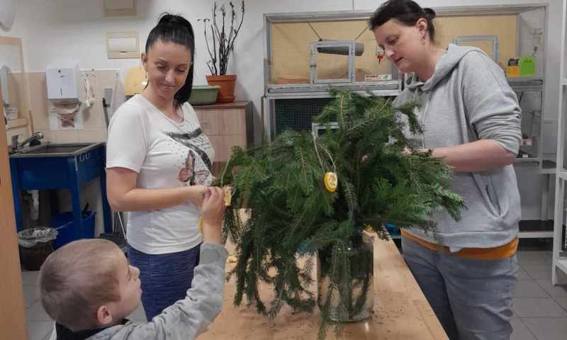 Ježíšek v ekocentru 