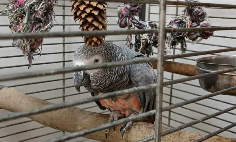 Ježíšek v ekocentru 