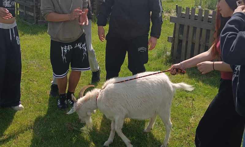 F