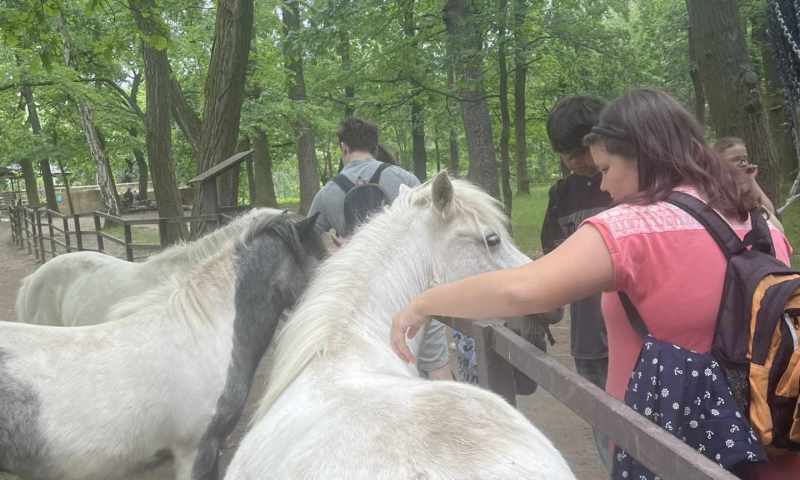 VI.A zoopark