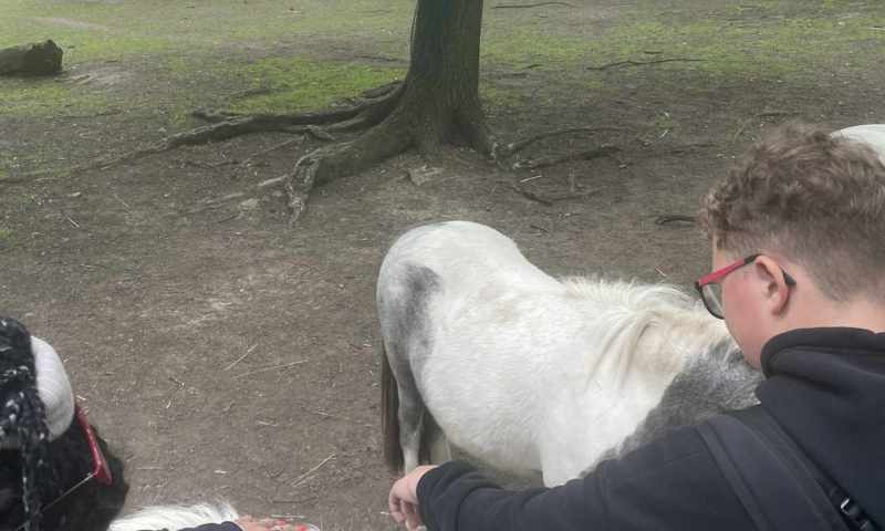 VI.A zoopark