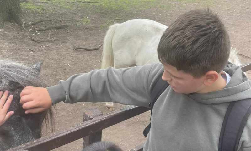 VI.A zoopark