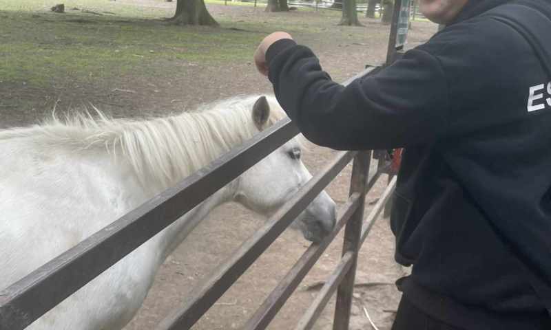 VI.A zoopark