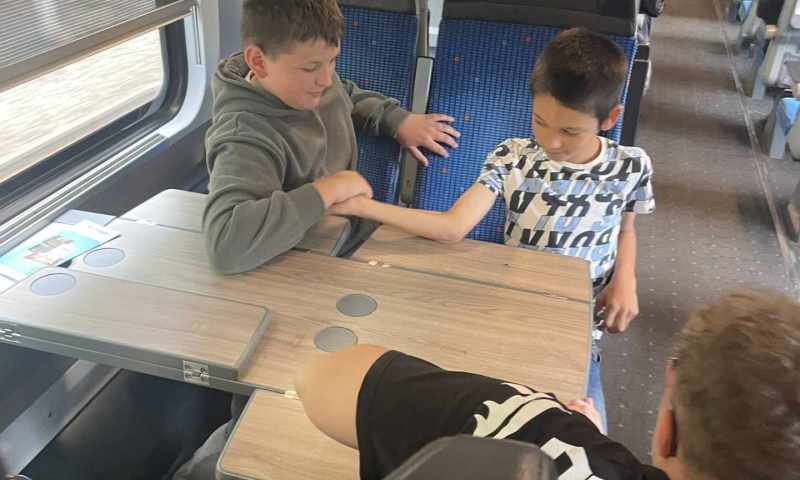 VI.A zoopark