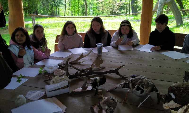 Buk9B