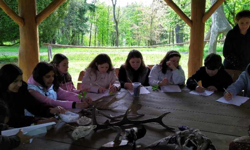 Buk9B