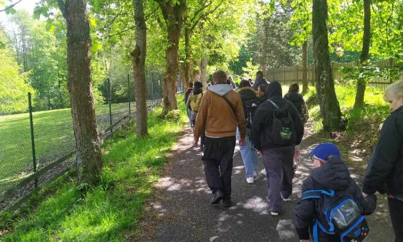 Linhart 9B