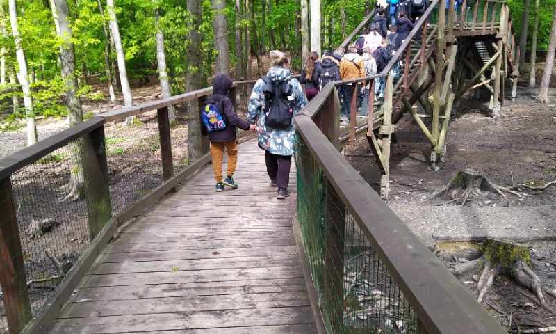 Linhart9B