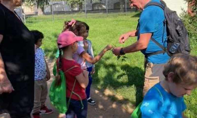 Poznávání stromů a rostlin