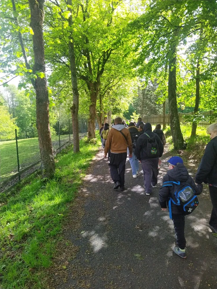 Linhart 9B