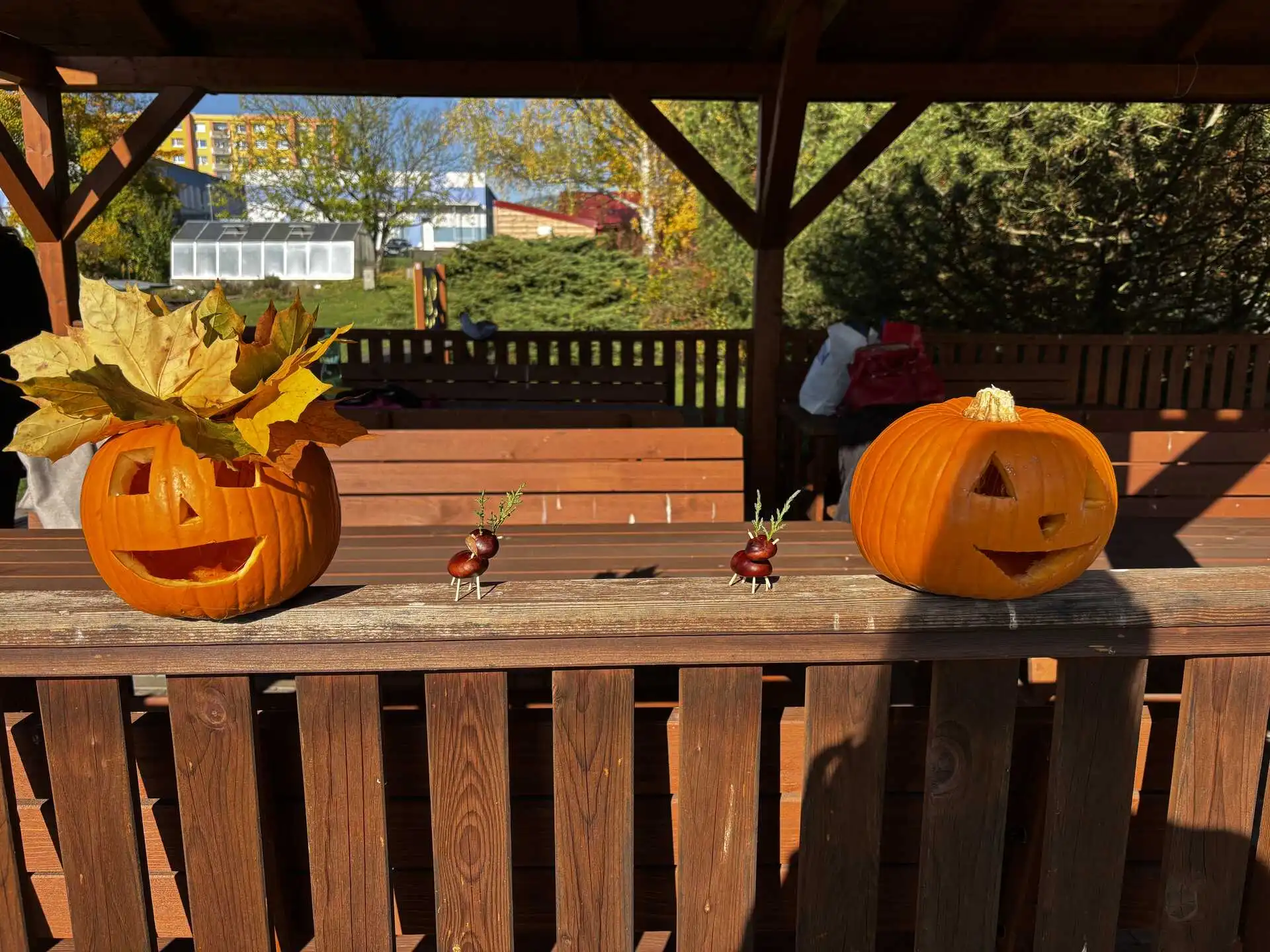 🎃Dlabaní dýní